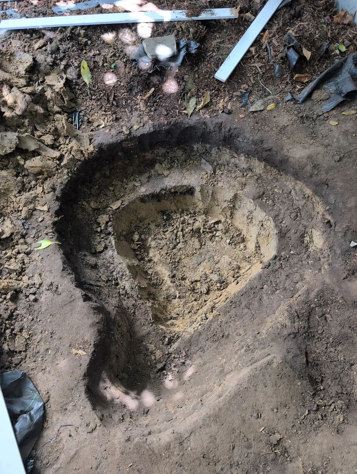 The excavation at the end of a digging session, deeper and rounder, pale clay exposed in the base, dark topsoil at the rim.