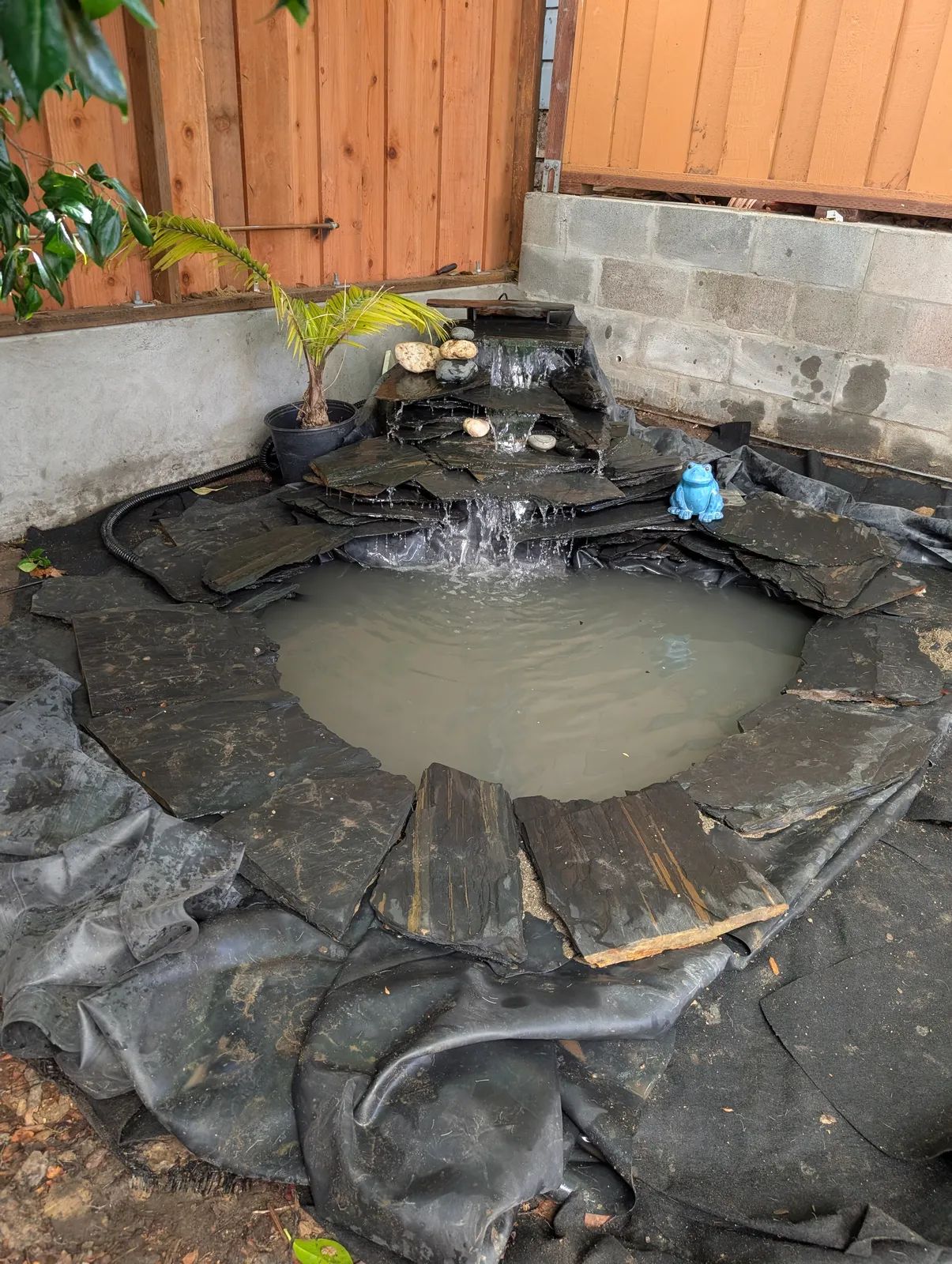 The pond after first fill, water opaque grey-brown with suspended clay, water running down the stacked slate waterfall, coping stones sitting loose on unfolded liner around the rim.